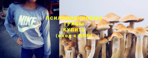 круглые Алексеевка