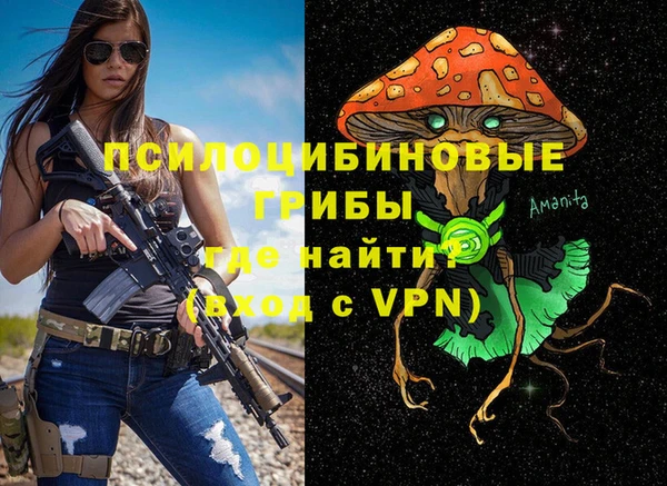 стаф Абаза