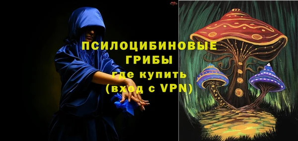 стаф Абаза